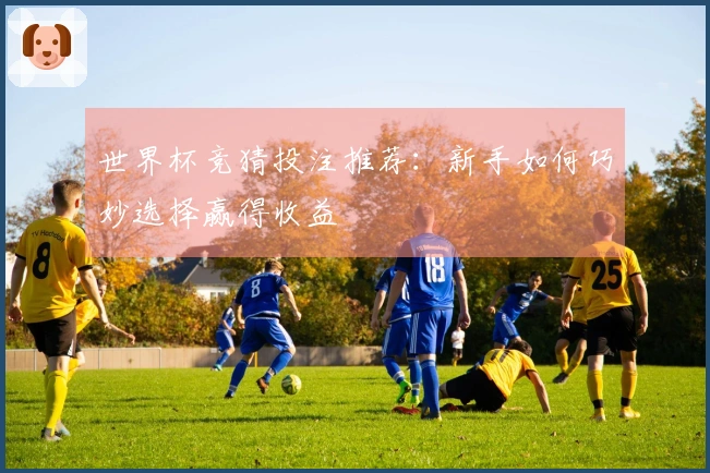 世界杯竞猜投注推荐：新手如何巧妙选择赢得收益