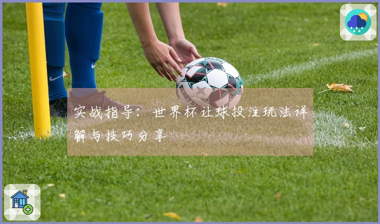 实战指导：世界杯让球投注玩法详解与技巧分享