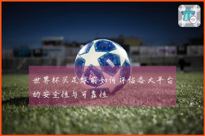 世界杯买足球前如何评估各大平台的安全性与可靠性
